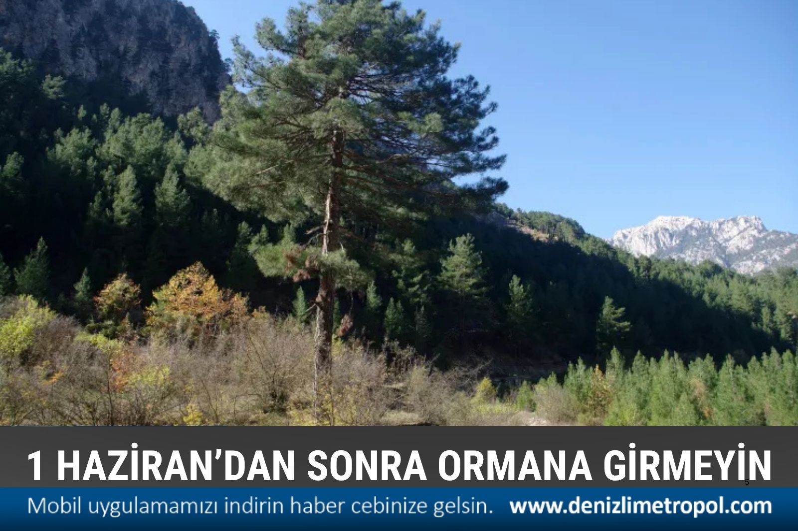 1 HAZİRAN'DAN SONRA DENİZLİ ORMANLARINA GİRİŞ YASAKLANDI