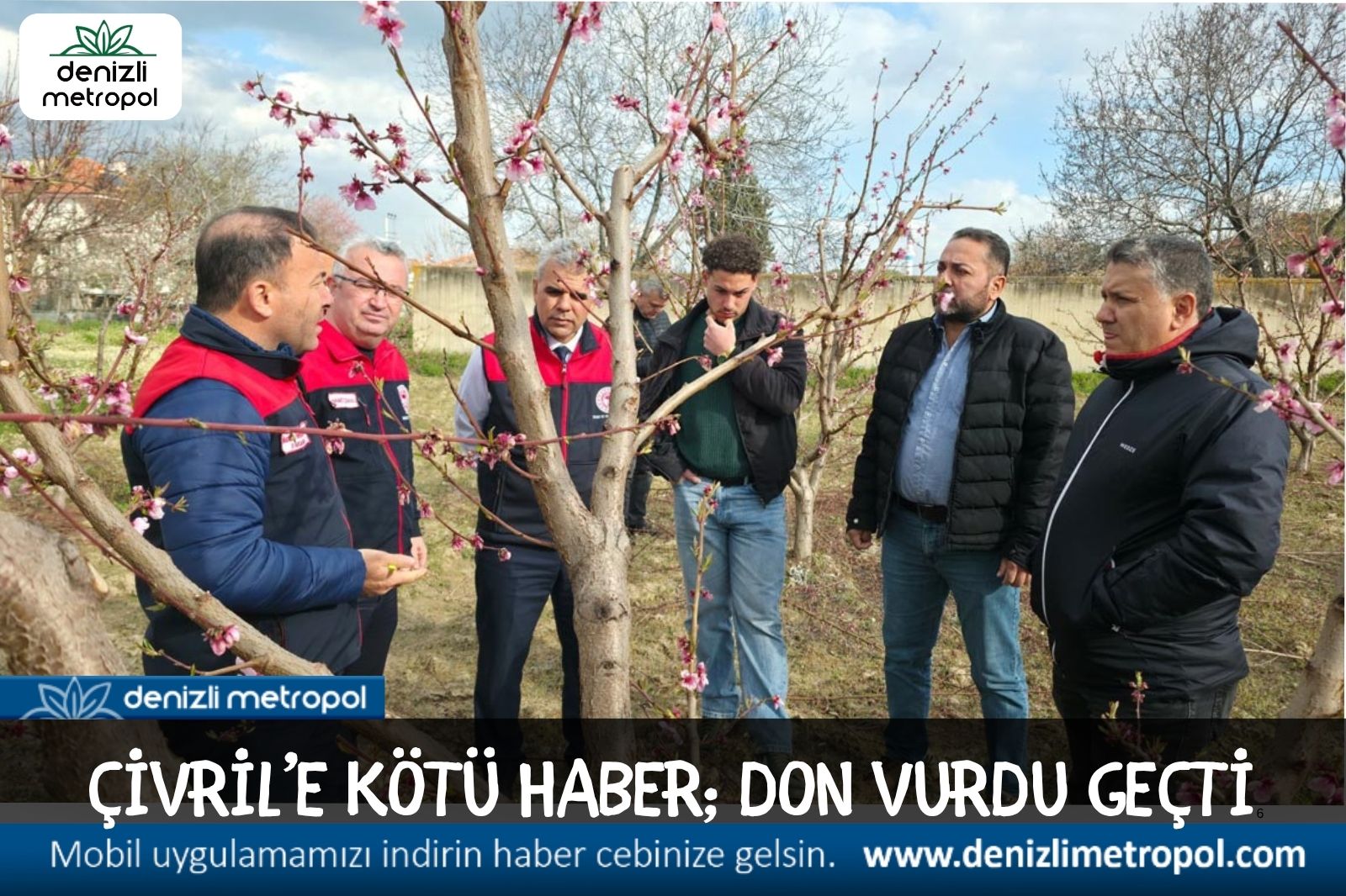 ÇİVRİL’E KÖTÜ HABER; DON MEYVE BAHÇELERİNE ETKİLİ OLDU