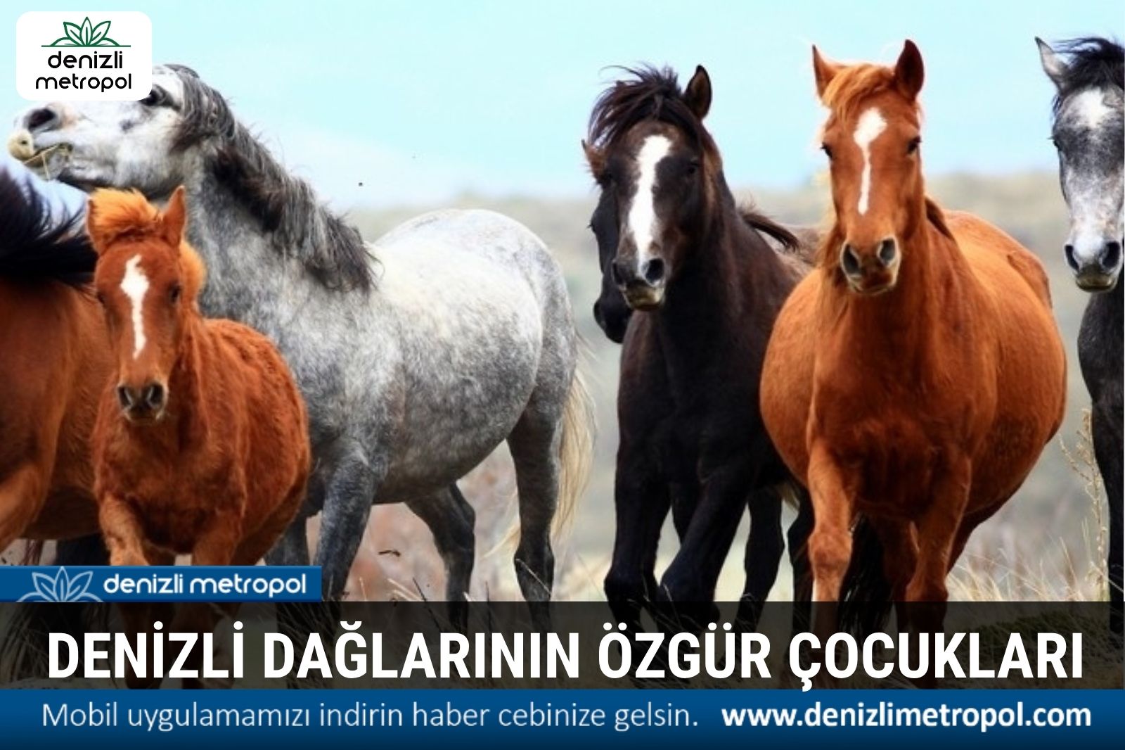 DAĞLARIN ÖZGÜR ÇOCUKLARI