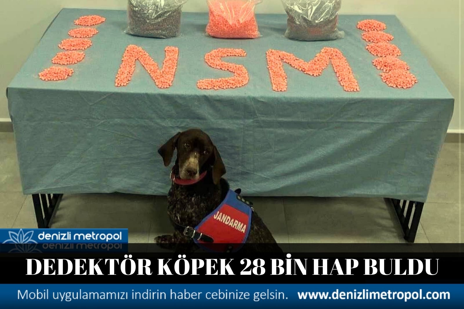 DEDEKTÖR KÖPEK 28 BİN HAP BULDU