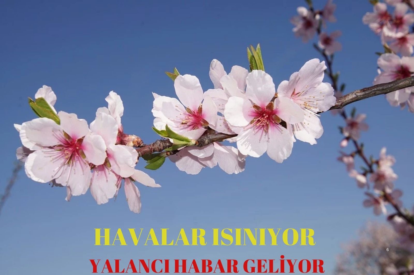 ERKENCİ BAHAR GELİYOR, SICAKLIKLAR ARTIYOR