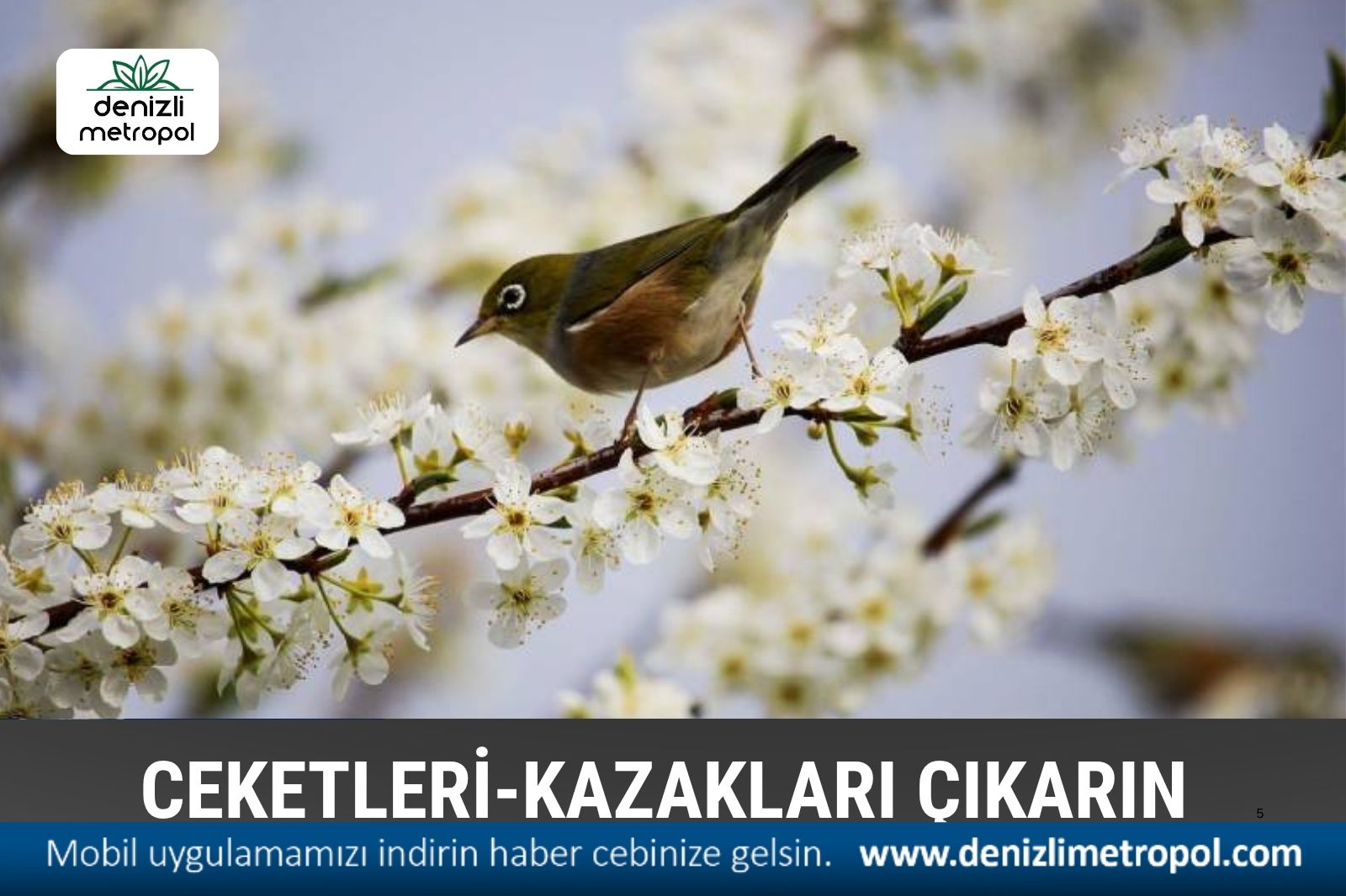 HAVA ISINIYOR; CEKETLERİ, KAZAKLARI ÇIKARIN