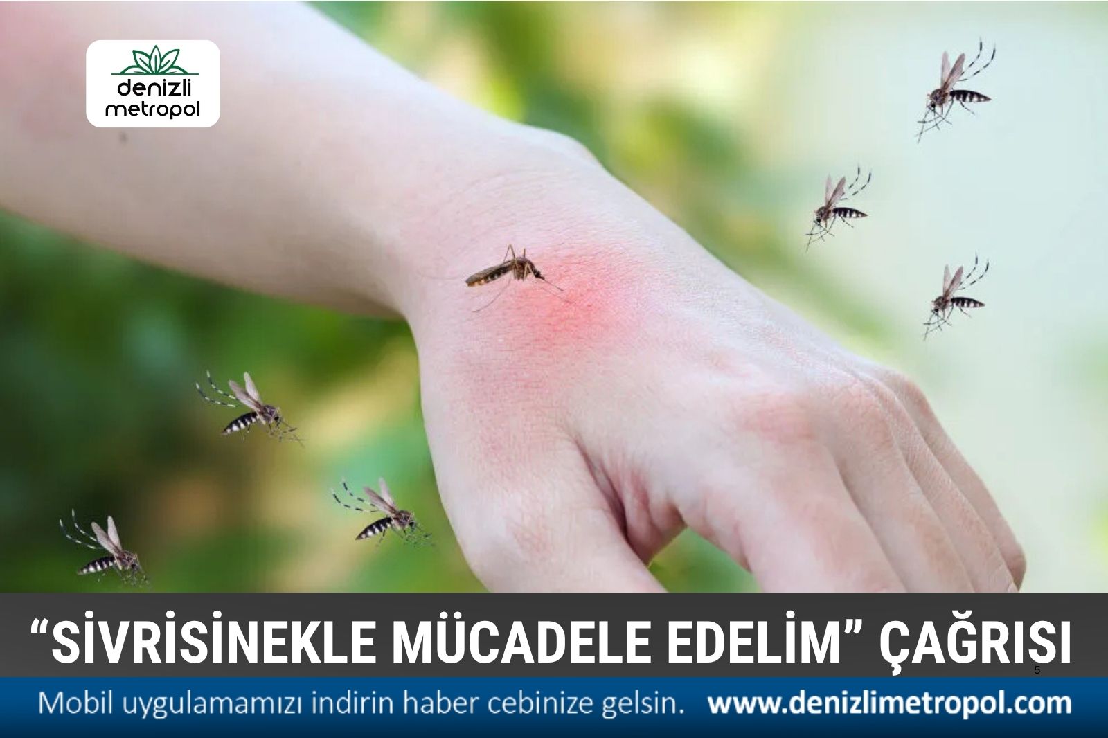 PAMUKKALE’DE “SİVRİSİNEKLE BİRLİKTE MÜCADELE EDELİM” ÇAĞRISI