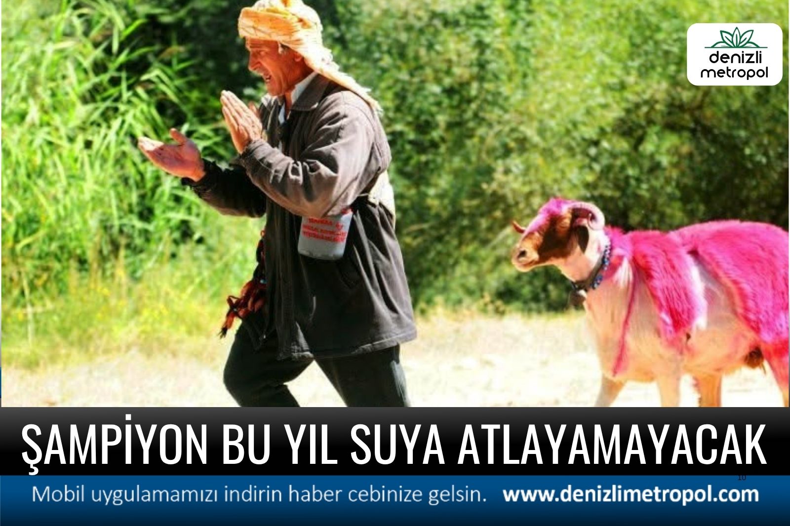 ŞAMPİYON BU YIL SUYA ATLAYAMAYACAK