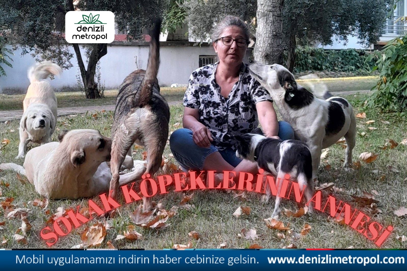 SOKAK KÖPEKLERİNİN ANNESİ