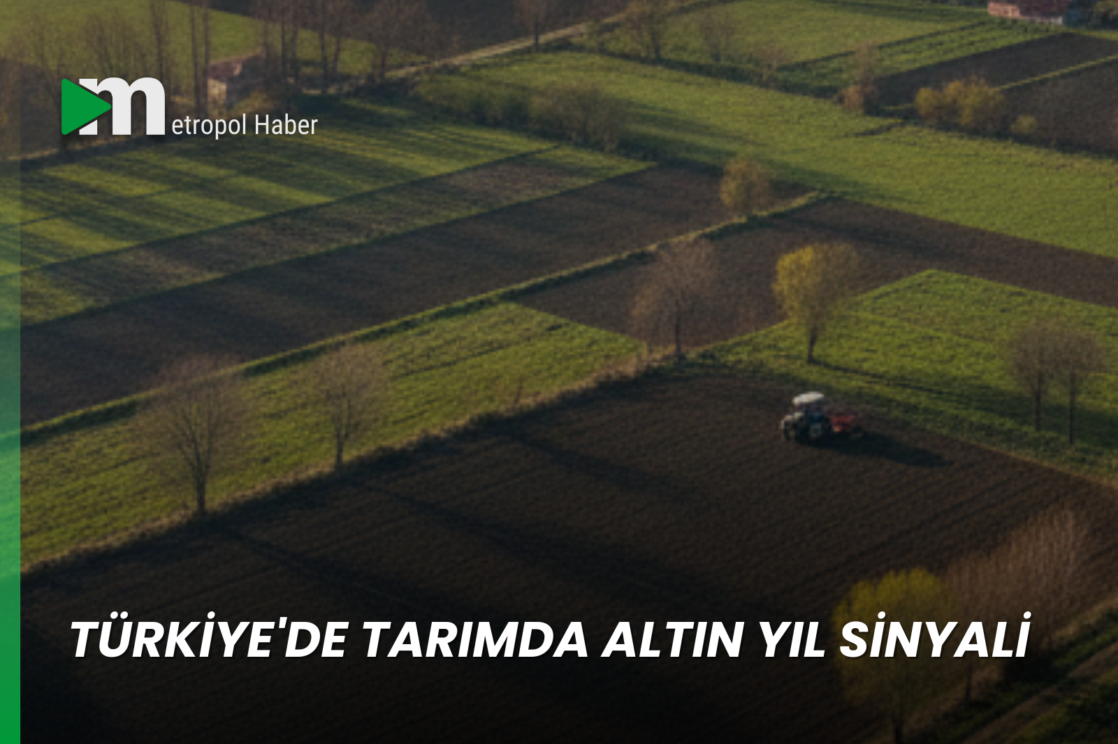 TÜRKİYE'DE TARIMDA ALTIN YIL SİNYALİ