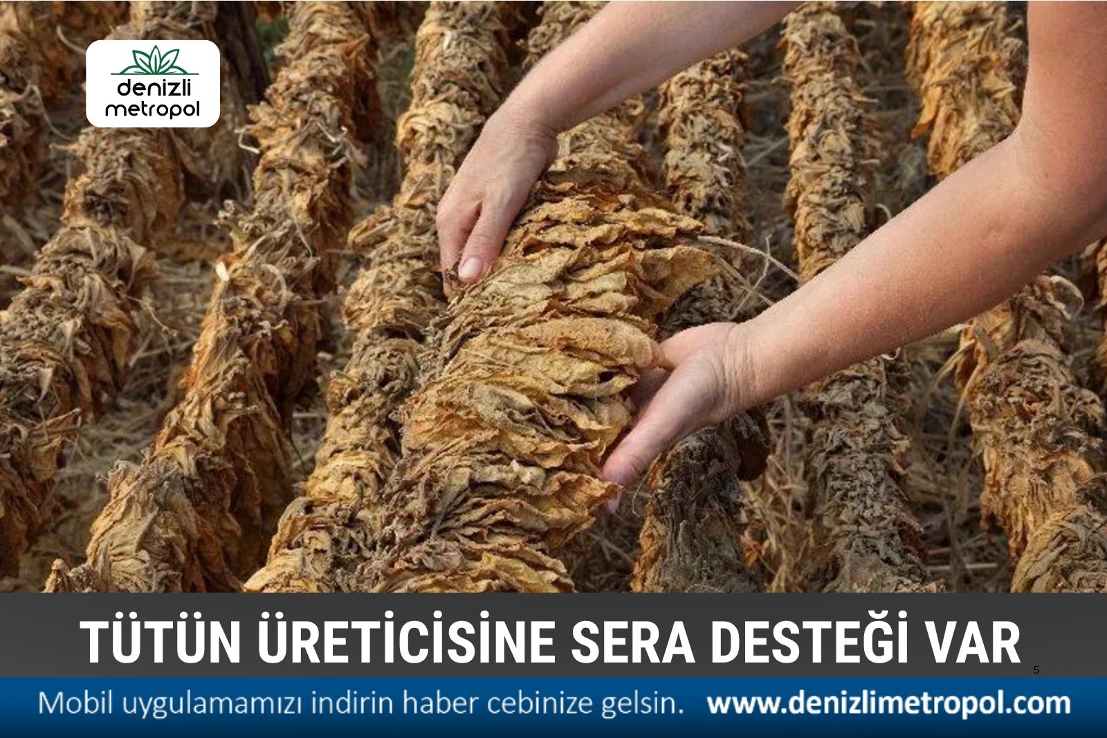 TÜTÜN ÜRETİCİSİNE  DESTEK