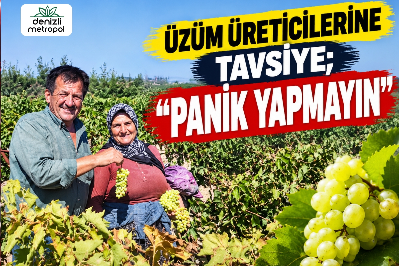 ÜZÜM ÜRETİCİLERİNE TAVSİYE; “PANİK YAPMAYIN”