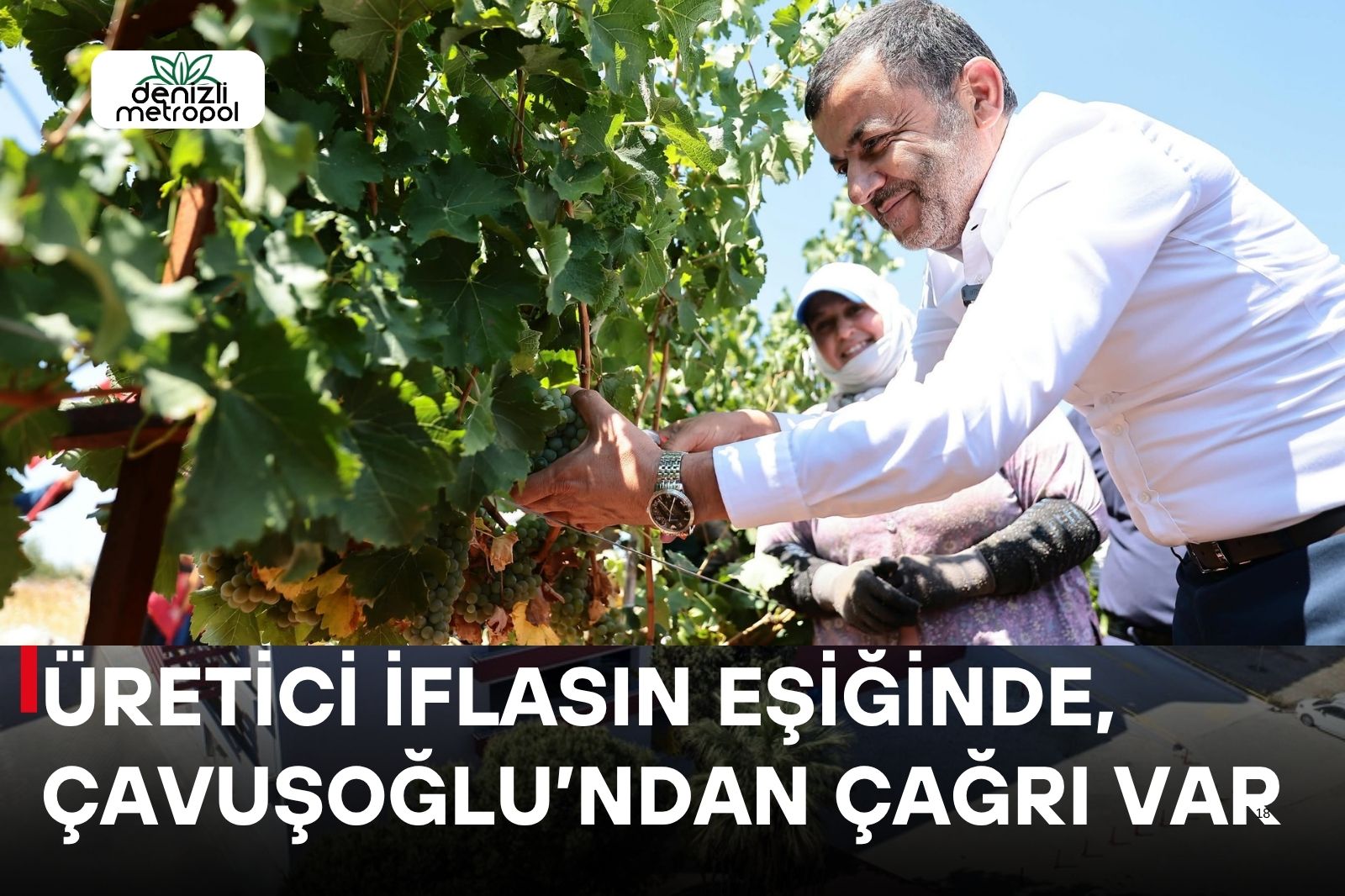 ÜZÜM ÜRETİCİSİ İFLASIN EŞİĞİNDE, DEVLETE ÇAĞRI VAR