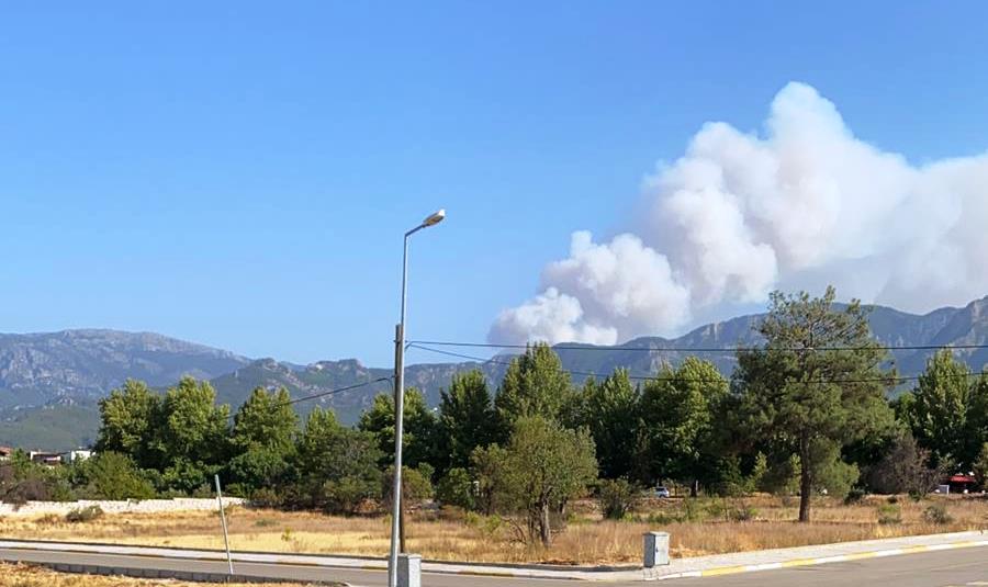 TAVAS’TA ORMAN YANGINI DENİZLİ METROPOL